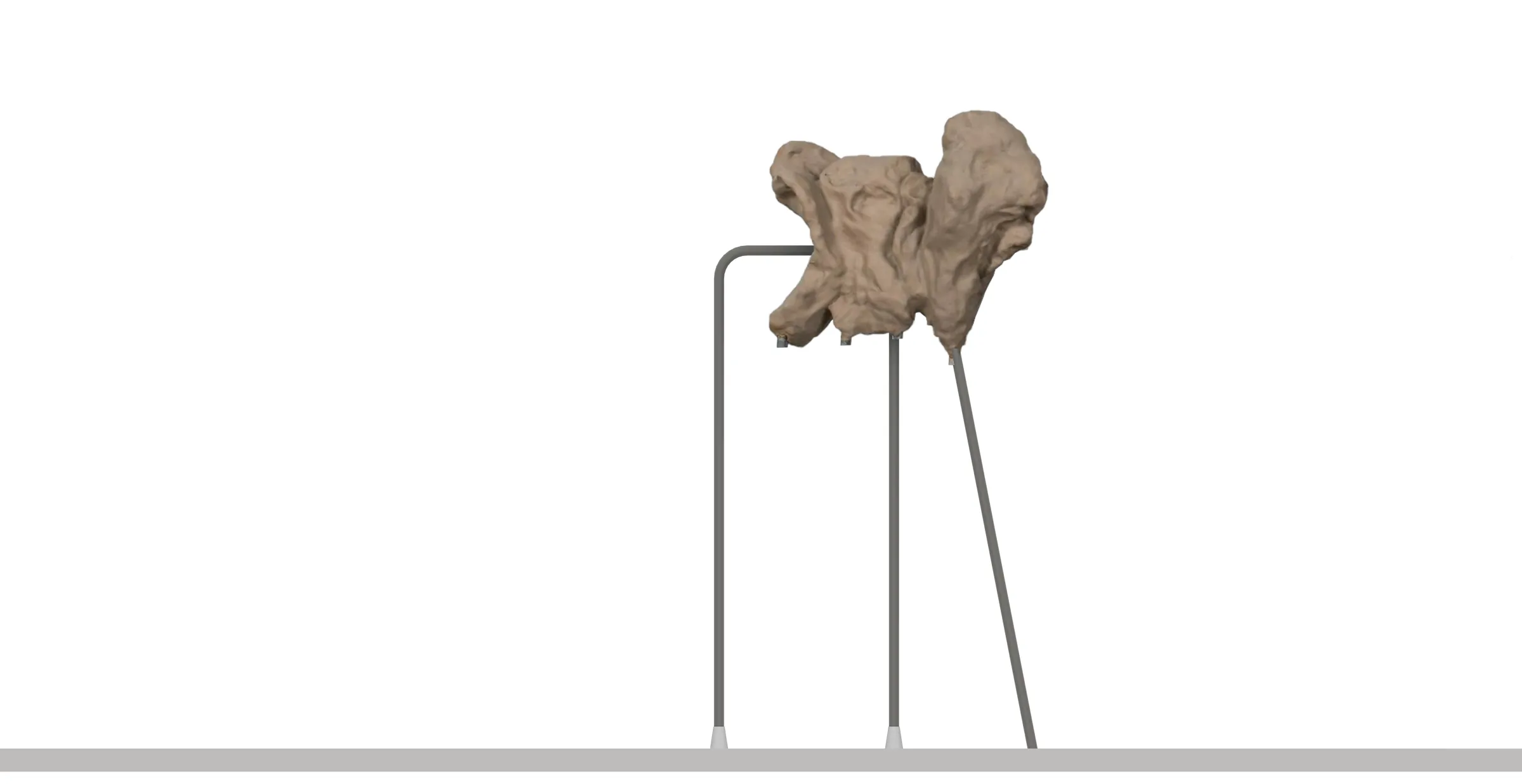Digital study of a broad organic form carried by an asymmetric metal stand.